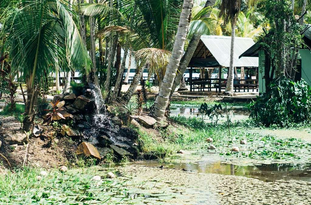 Overbridge River Resort Paramaribo Eksteriør bilde